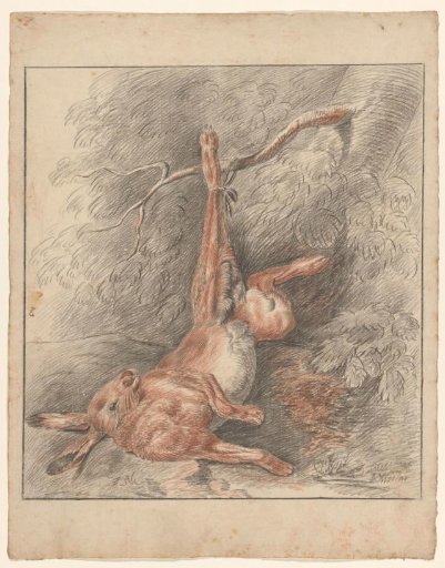 Dead hare, hanging by a foot