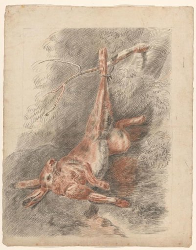 Dead hare, hanging by a foot