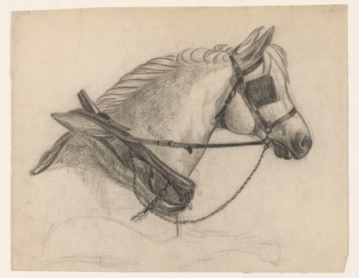 Horse with blinkers