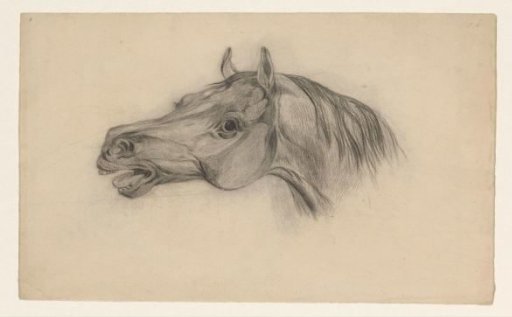 Head of a horse, facing left