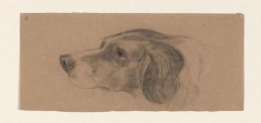 Head of a dog, facing left