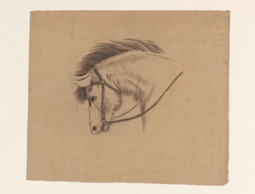Head of a horse, facing left