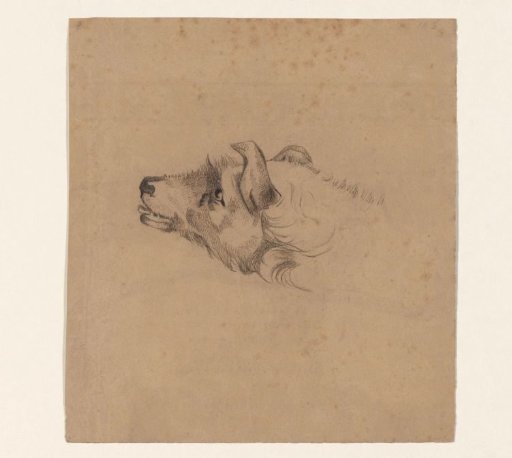 Head of a dog, facing left