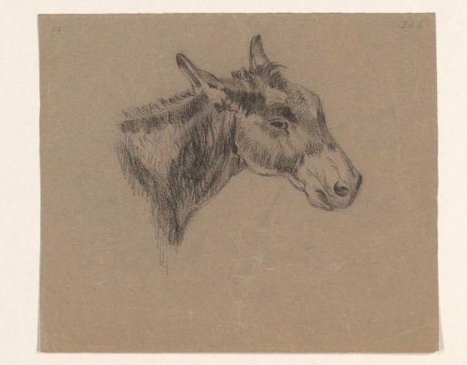 Head of a donkey