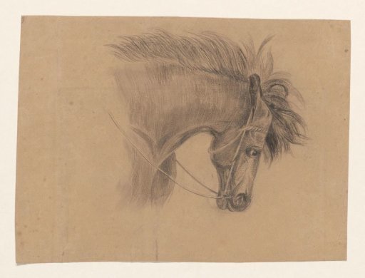 Head of a horse, facing right