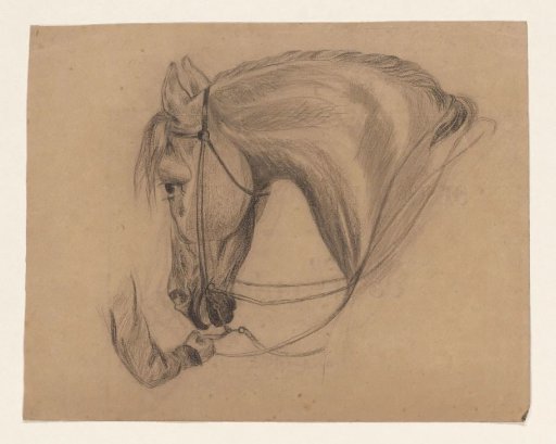 Head of a horse, facing left