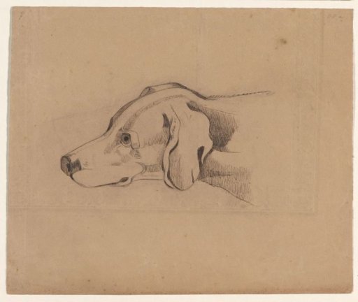Head of a dog, facing left