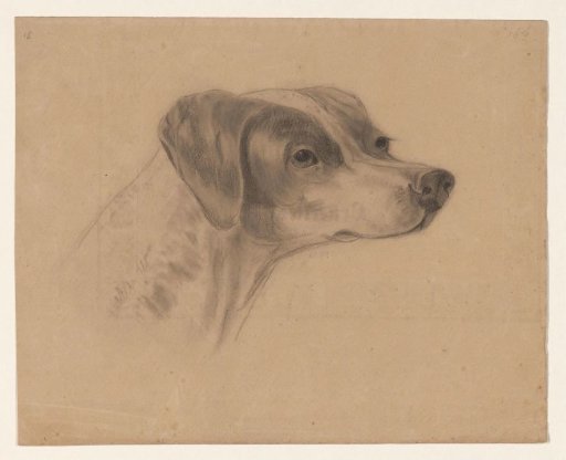 Head of a dog, facing right