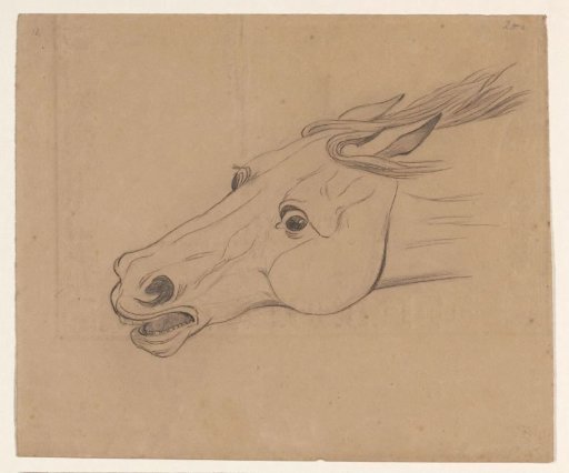 Head of a horse, facing left