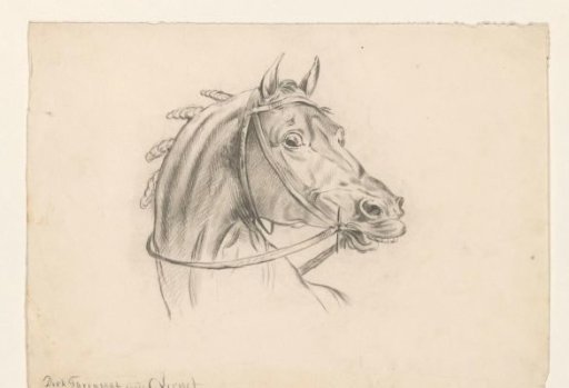 Head of a Horse, Facing Right