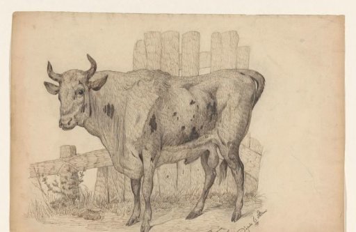 Standing bull, facing left