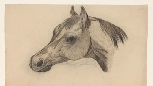 Head of a Horse, Facing Left