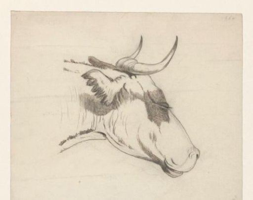 Head of an ox, facing right