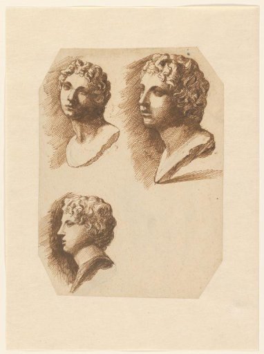 Three studies of a boy's head