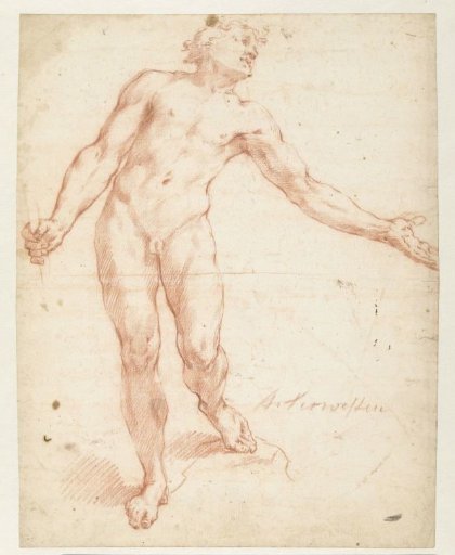 Standing male nude