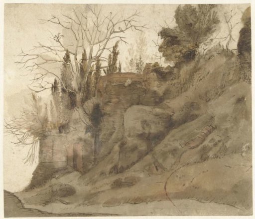 Overgrown ruin