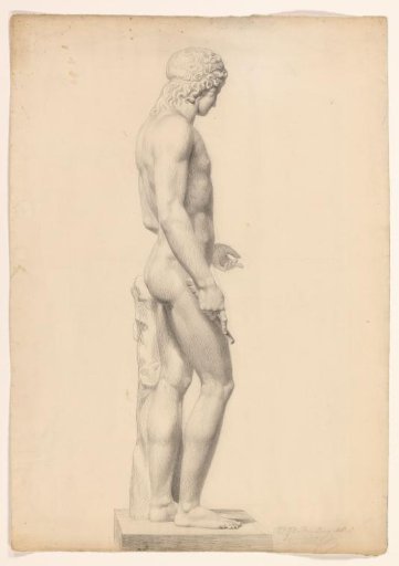 Similar to Adonis Centocelle, facing right