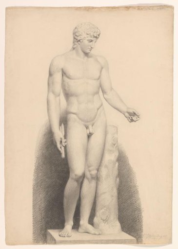 Similar to Adonis Centocelle, front view