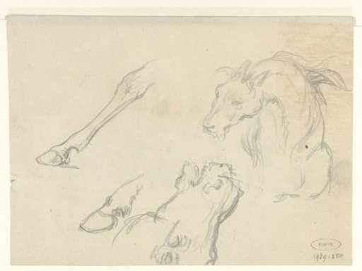 Studies of animal heads and paws