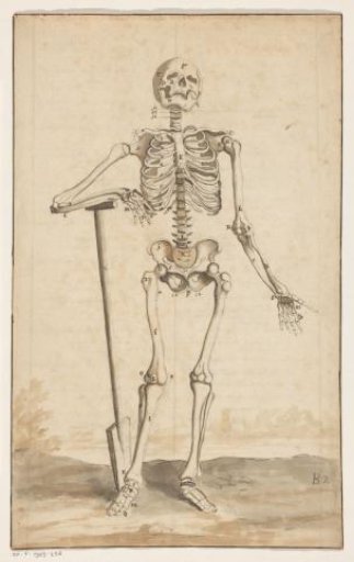 Skeleton with spade