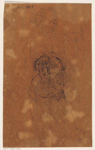 Entrails of a Man