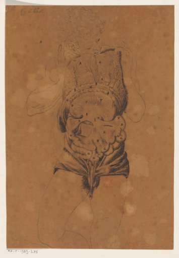 Entrails of a Man