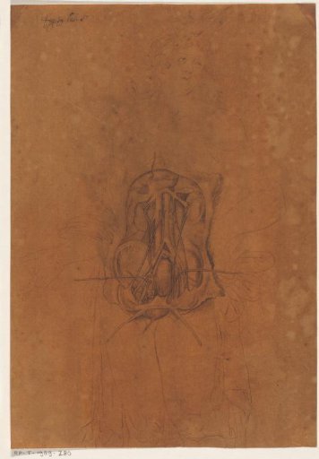 Viscera of a woman