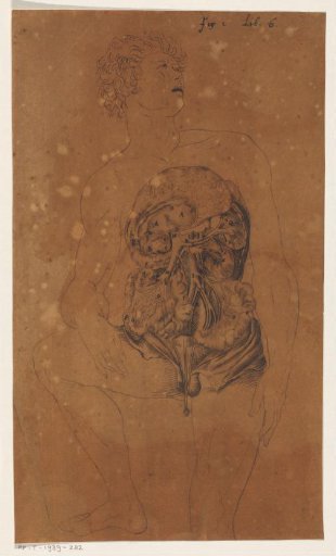 Viscera of a man