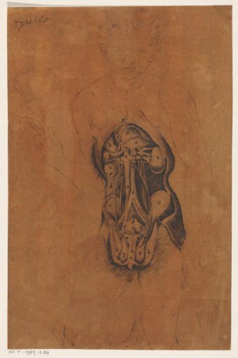 Entrails of a man