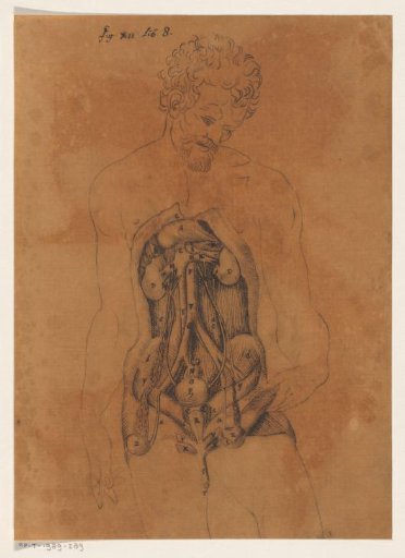 Entrails of a man