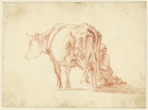 Cow Being Milked
