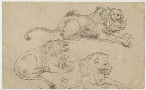 Study Sheet with Three Lions