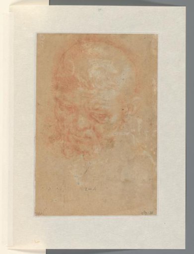 Head of an old man