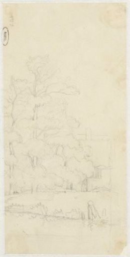 Sketch of tall trees for a house