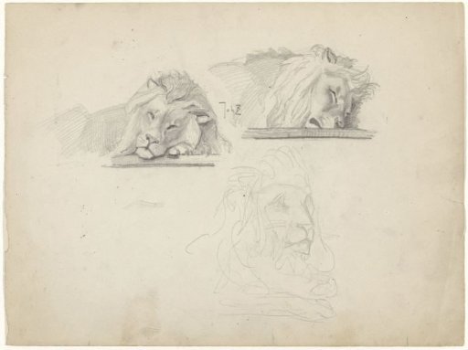 Three studies of a lion