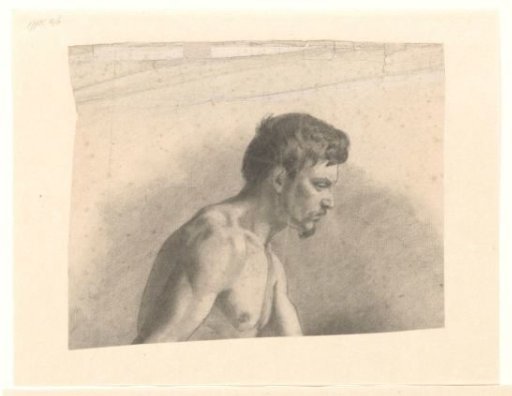 Bust of a male nude,