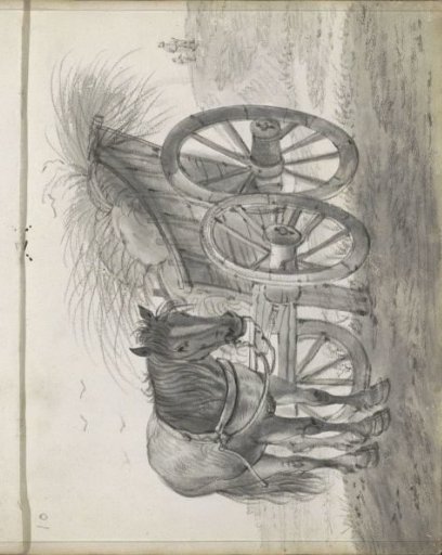 Horse Harnessed to a Hay Wagon