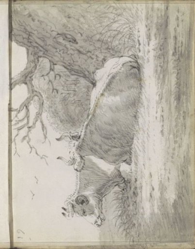 Two lying cows under a tree