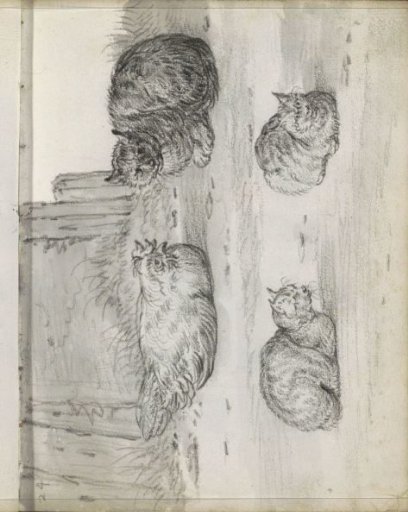 Hen and three cats on a farmyard