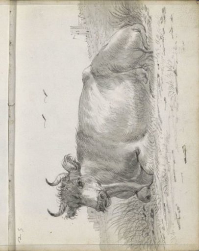 Lying cow in a landscape with buildings