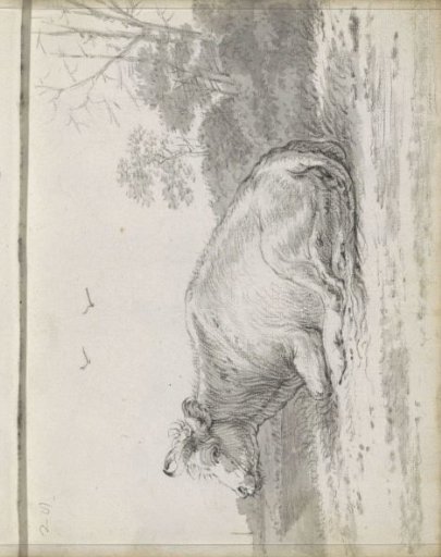 Lying cow in a landscape