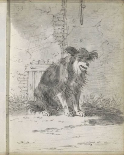 Sitting dog by a wall