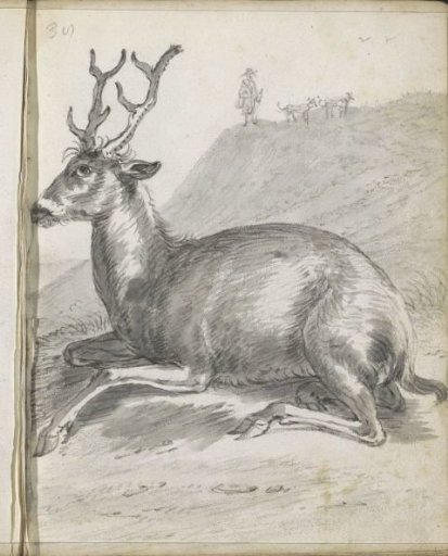 Hilly landscape with a lying stag