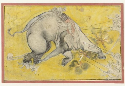 The taming of the wild elephant