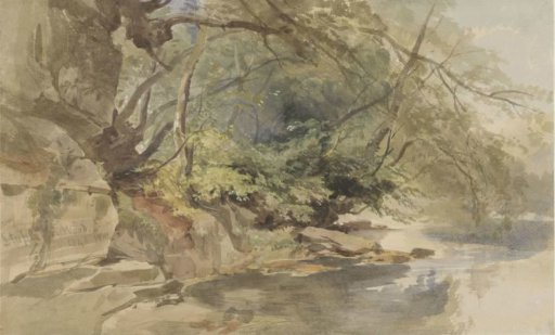 View in Stapleton Wood, near Bristol