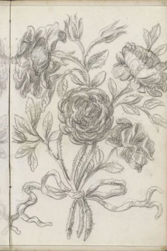 Bouquet of roses