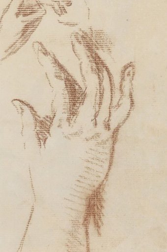 Hands