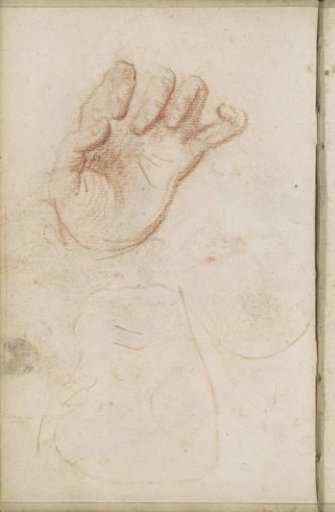 Palm and fingers