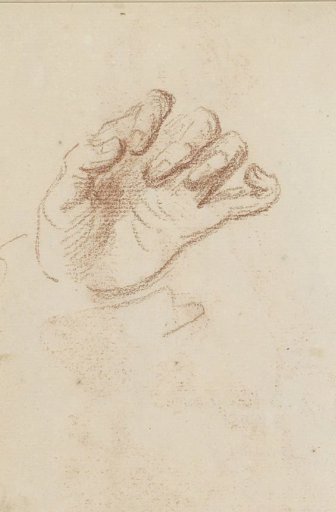 Palm and fingers