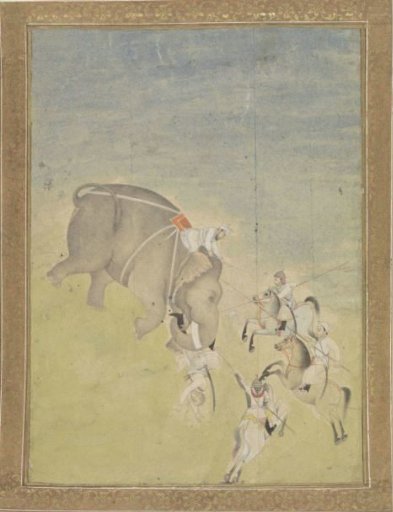 Fight with an elephant